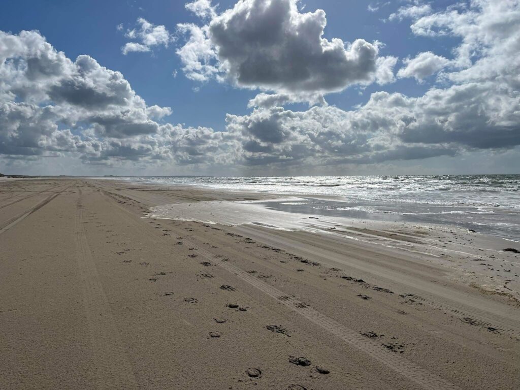 The sea